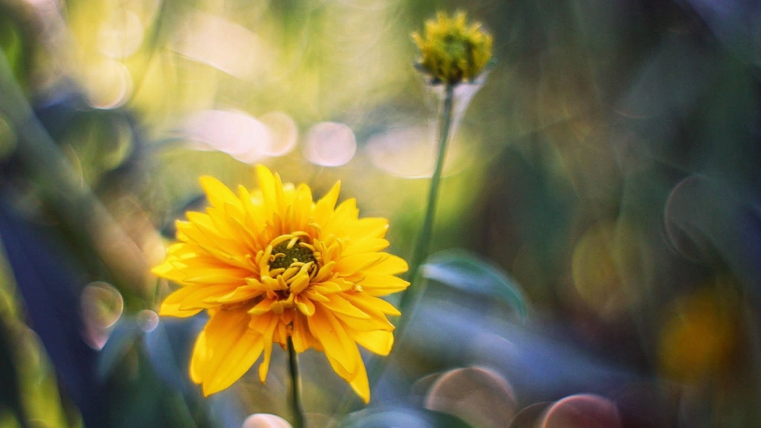 Tử vi tuần mới 15/3   21/3 của 12 cung hoàng đạo: Xử Nữ hãy lạc quan