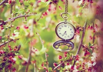 Tử vi thứ Sáu ngày 28/8/2020 của 12 cung hoàng đạo