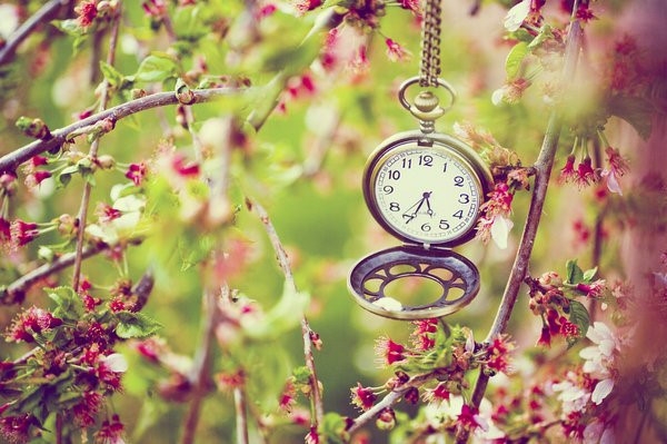 Tử vi ngày 7/10/2021: Cự Giải trách nhiệm, Sư Tử thực tế