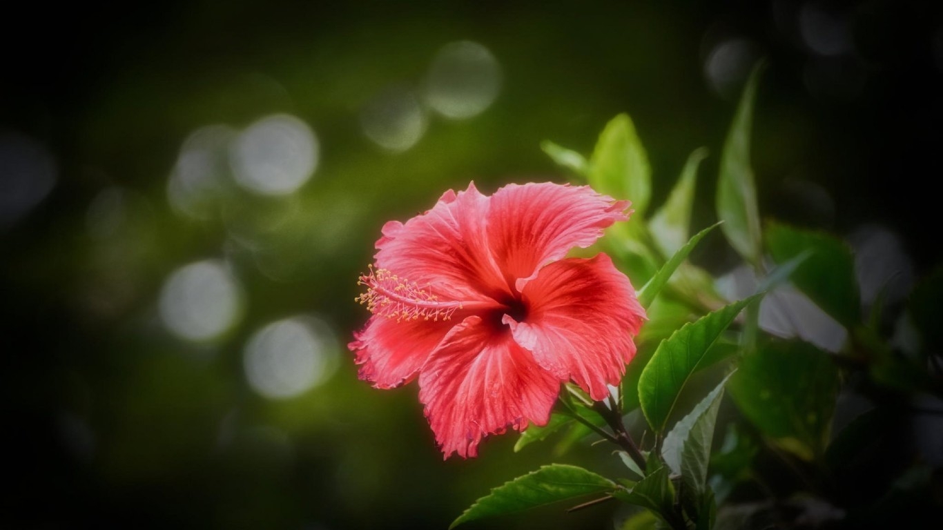 tu vi thu nam ngay 3112019 cua 12 cung hoang dao