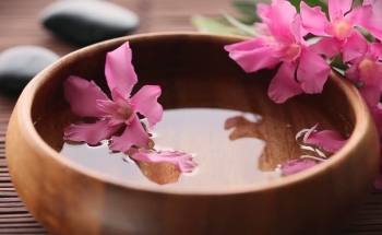 Tử vi Chủ nhật ngày 5/1/2020 của 12 cung hoàng đạo