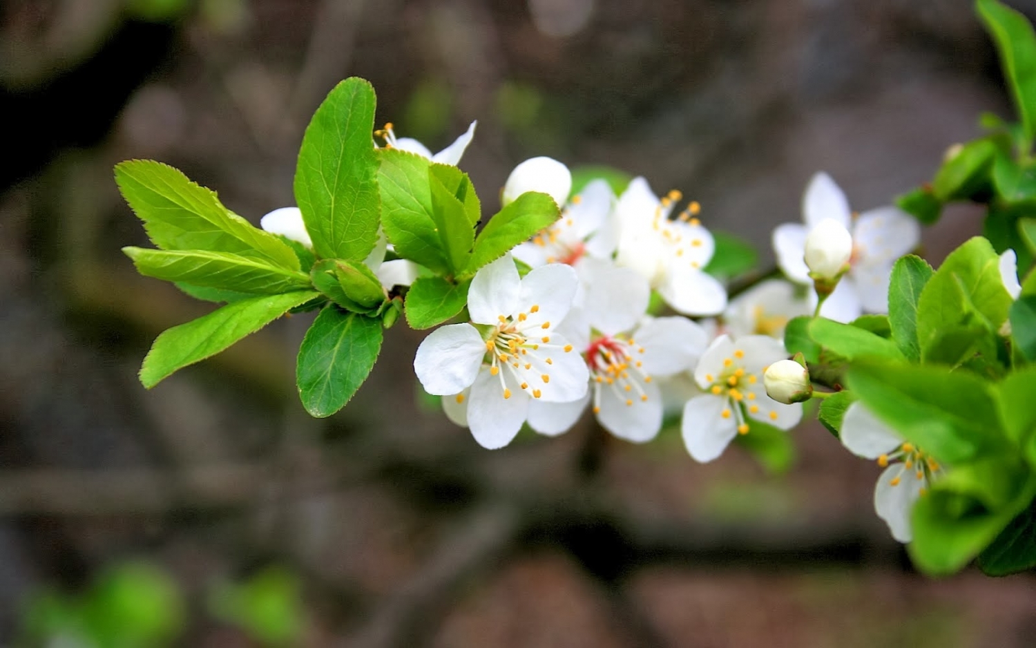 Tử vi tuần mới 27/1 - 2/2 của 12 cung hoàng đạo tu vi tuan moi 271 22 cua 12 cung hoang dao