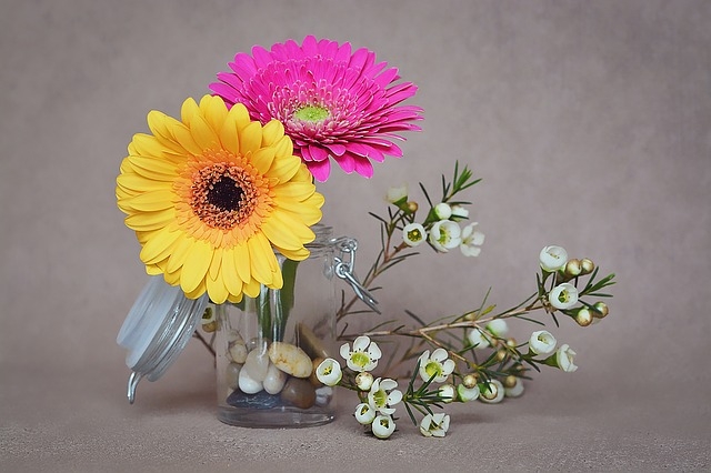 tu vi chu nhat ngay 2612020 cua 12 cung hoang dao