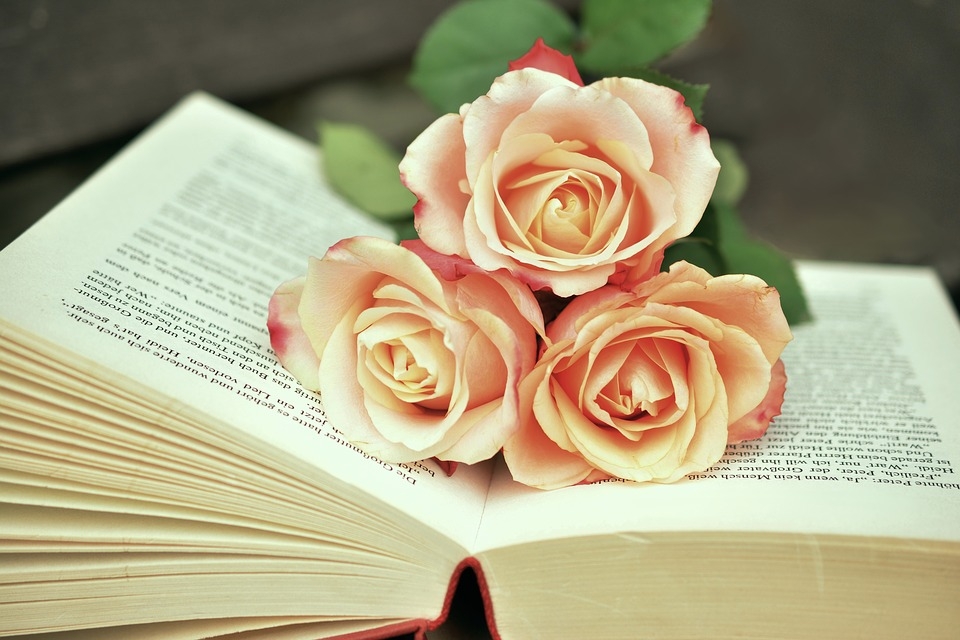 Tử vi thứ Ba ngày 2/2/2021 của 12 cung hoàng đạo Tử vi thứ Ba ngày 2/2/2021 của 12 cung hoàng đạo