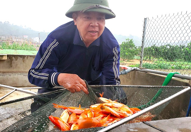 Tết ông Công, ông Táo: Người nuôi cá chép nhận đặt cọc hàng trăm triệu đồng - 1