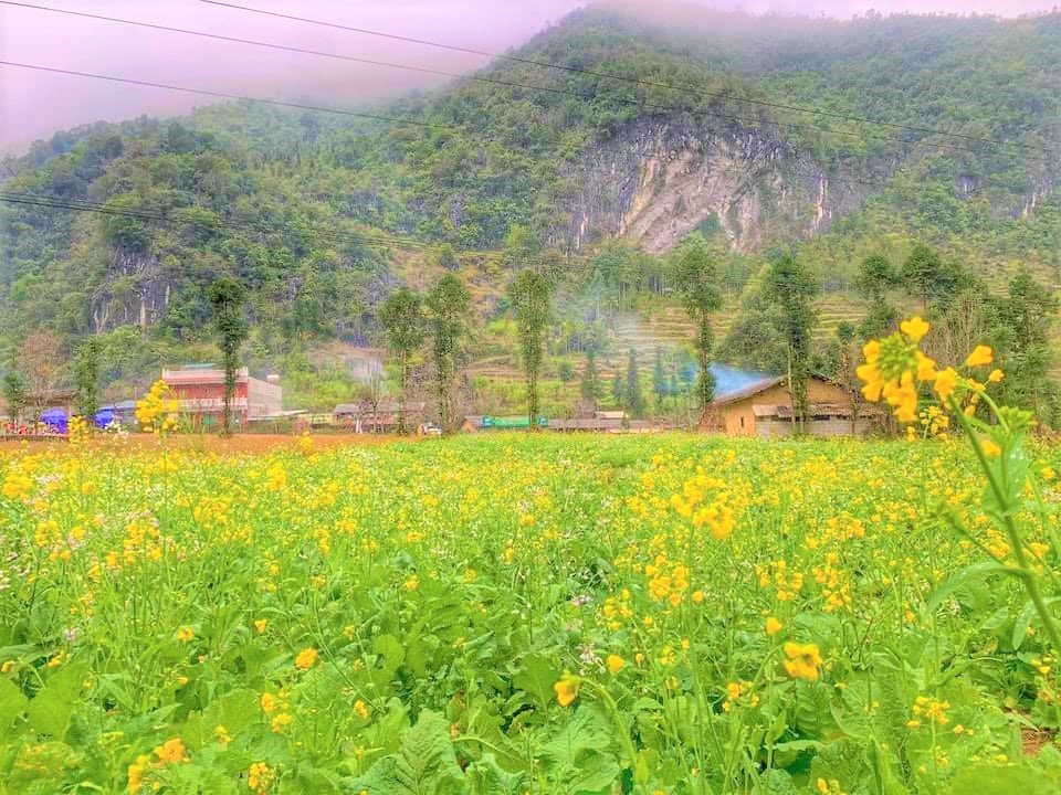 Tháng 2 - Mùa đẹp nhất du lịch Hà Giang trong năm cho những chuyến đi