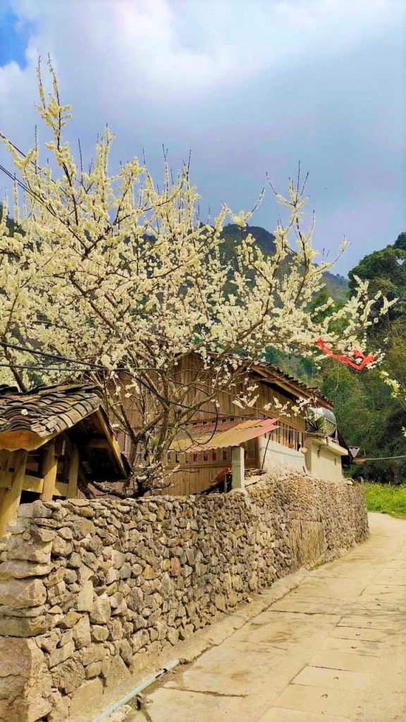 Tháng 2 - Mùa đẹp nhất du lịch Hà Giang trong năm cho những chuyến đi