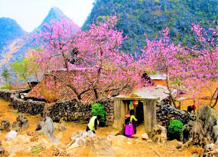 Tháng 2 - Mùa đẹp nhất du lịch Hà Giang trong năm cho những chuyến đi