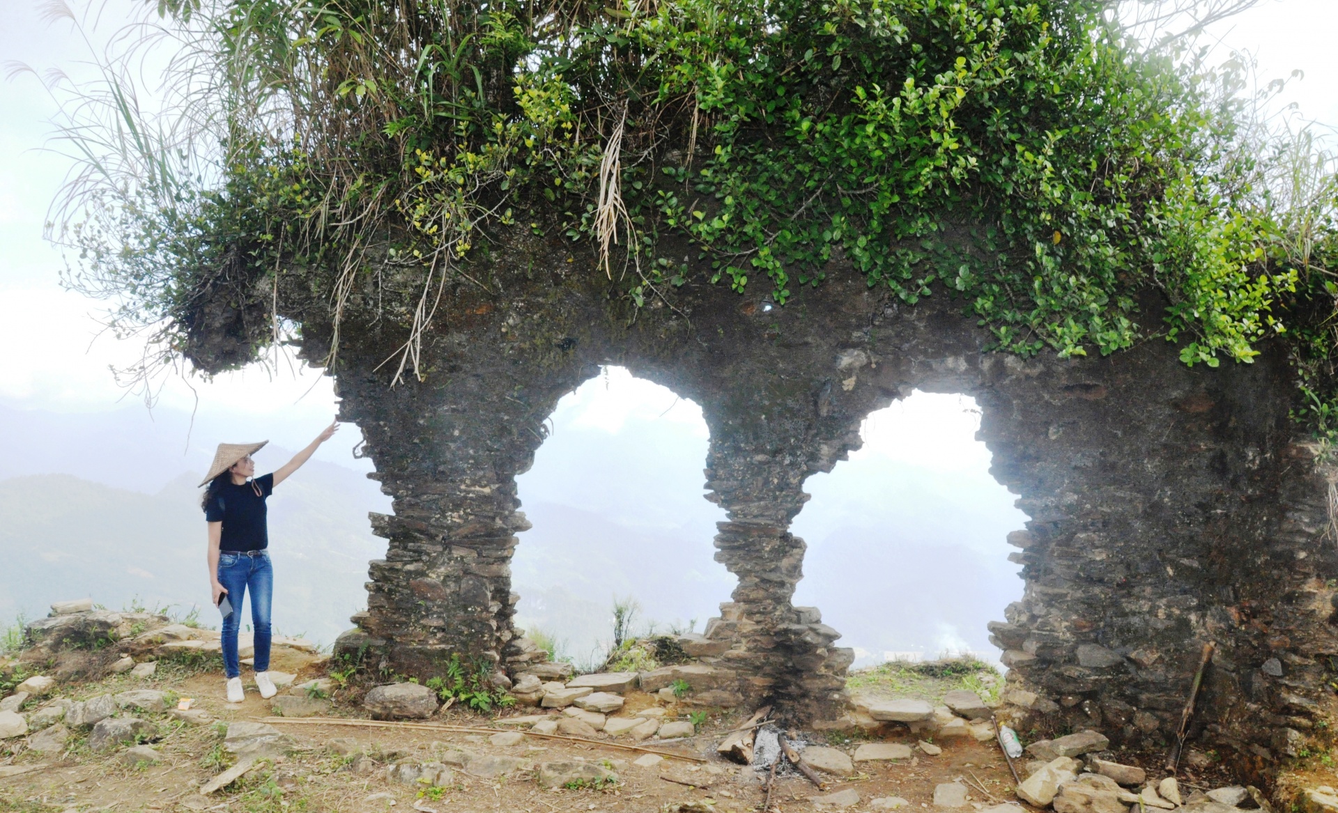 Hoa mận Xuân La bung sắc