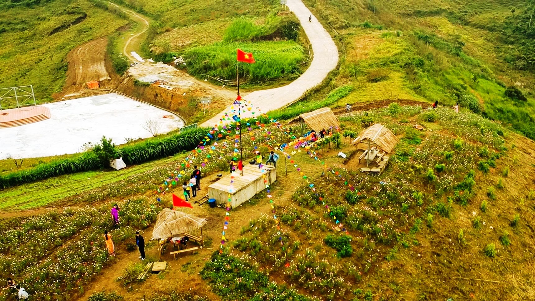 Hoa mận Xuân La bung sắc