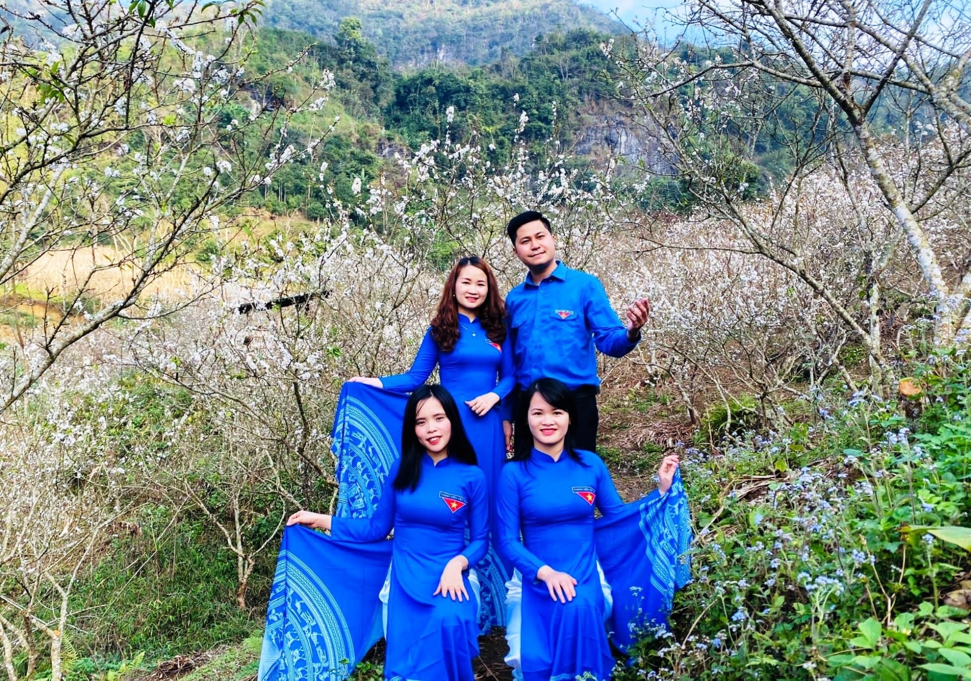 Hoa mận Xuân La bung sắc