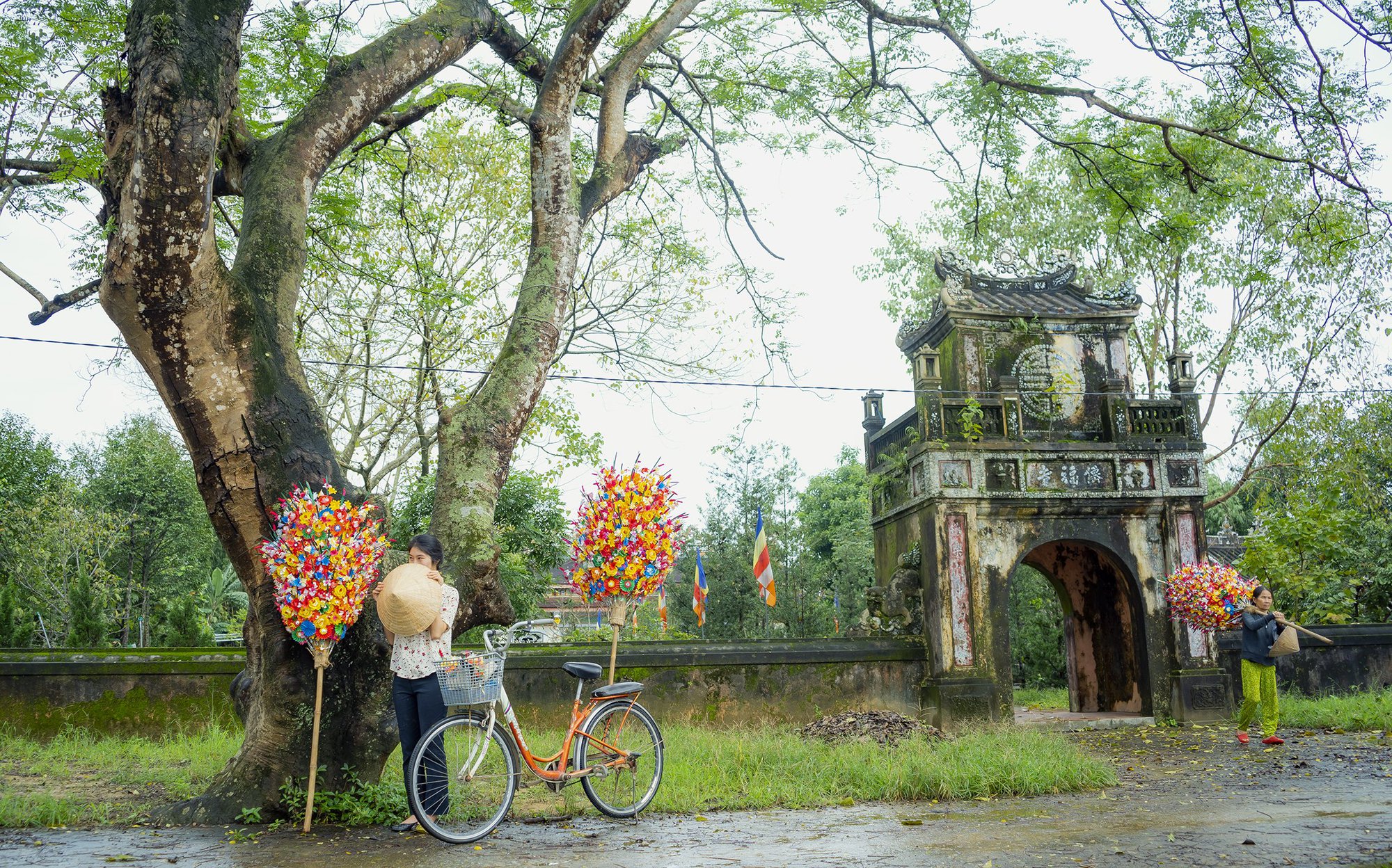 Sắc Xuân làng hoa giấy Thanh Tiên