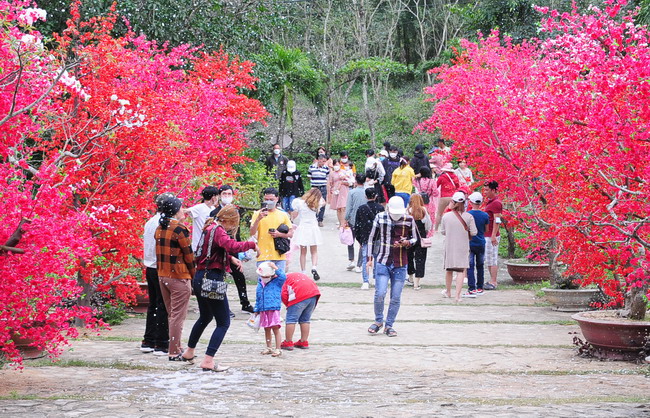 Bình Định: Sẵn sàng đón khách du xuân