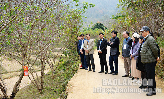 Sẵn sàng cho Lễ hội Hoa Đào Xứ Lạng - Xuân Quý Mão