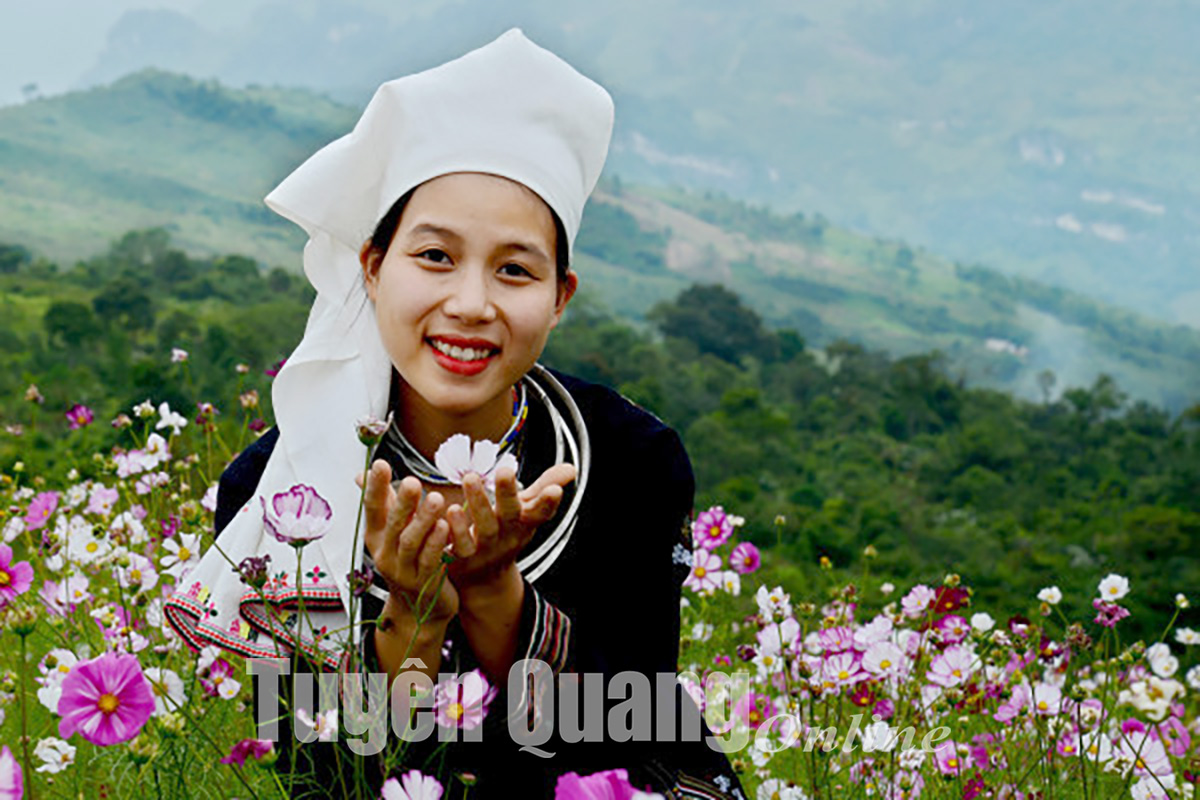 Đắm say miền cổ tích
