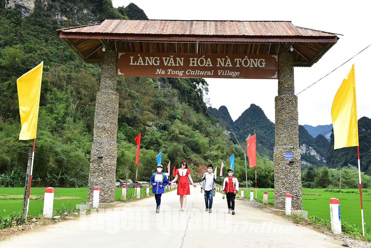Đắm say miền cổ tích