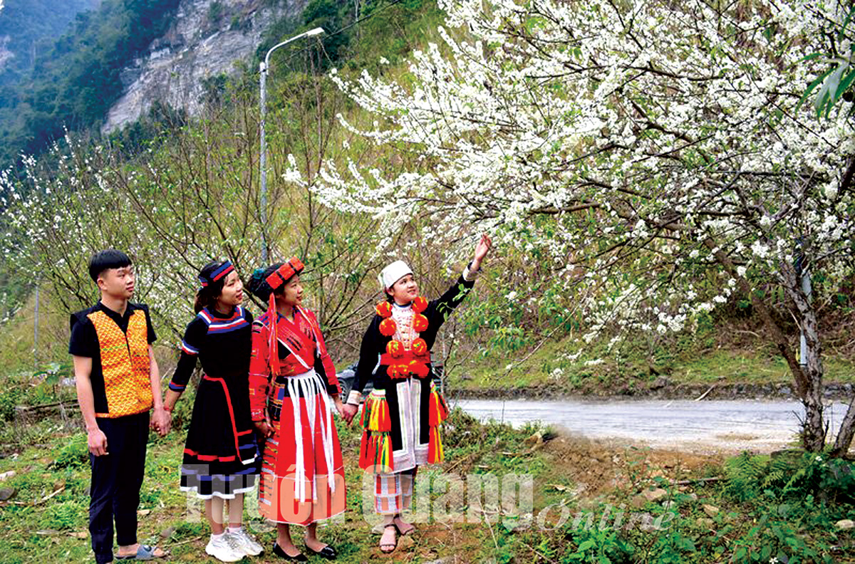 Đắm say miền cổ tích