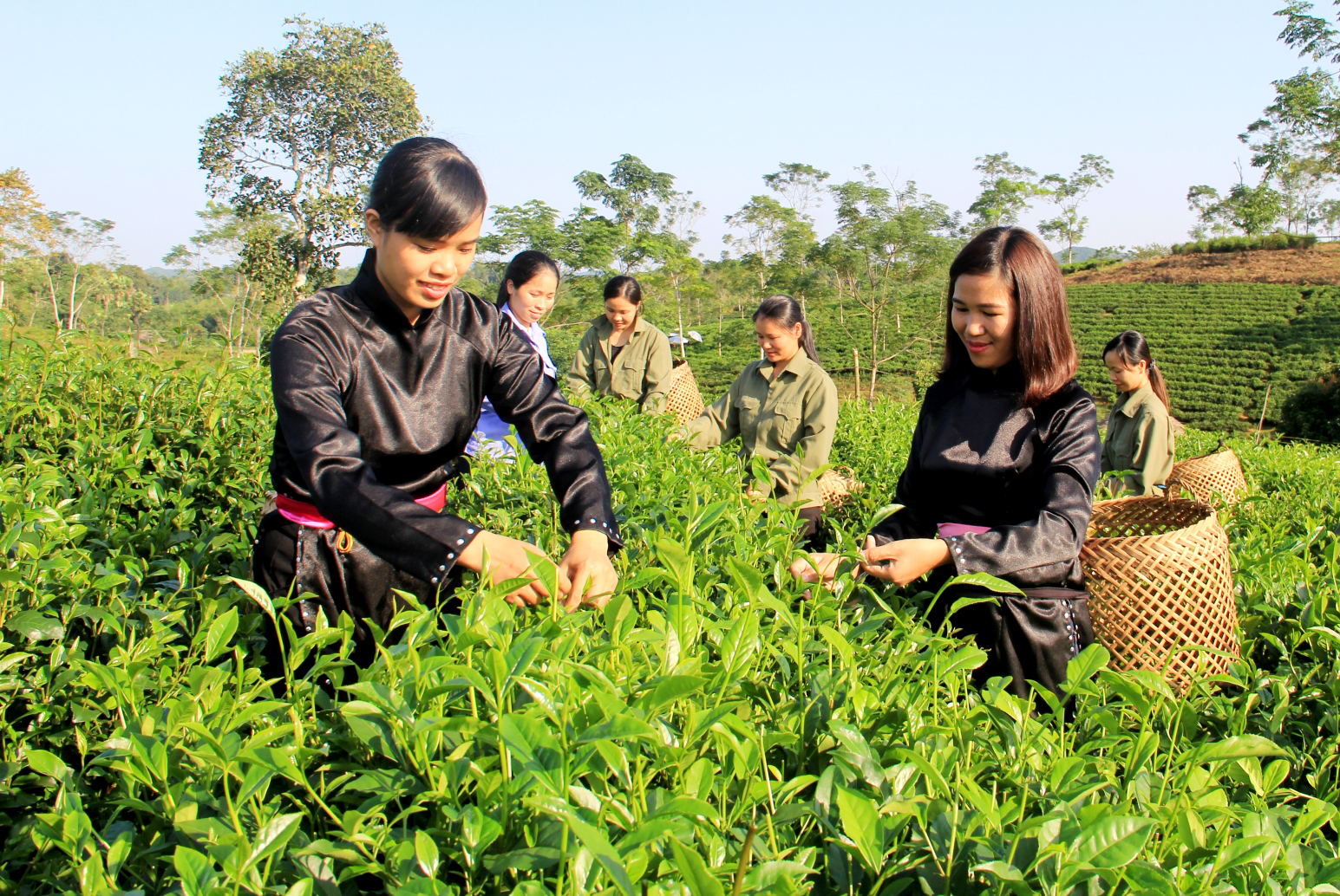 Sừng sững Núi Nản