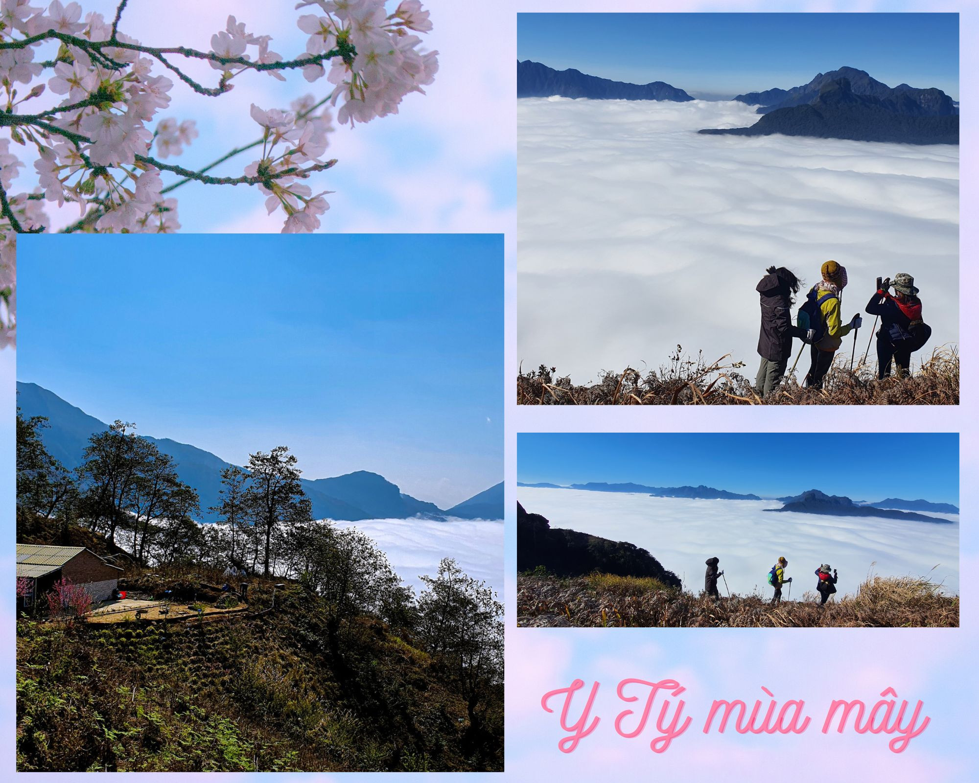 Giấc mơ vùng đất mờ sương