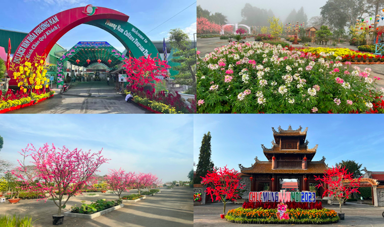 Du lịch Đồng Tháp sẵn sàng đón khách du Xuân