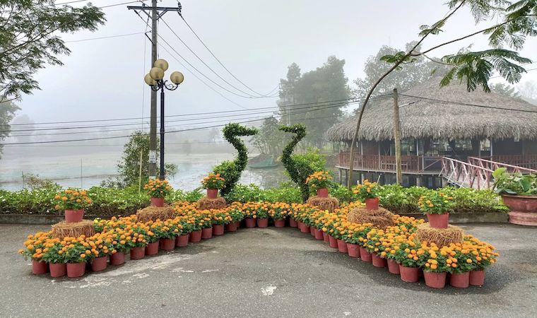 Du lịch Đồng Tháp sẵn sàng đón khách du Xuân