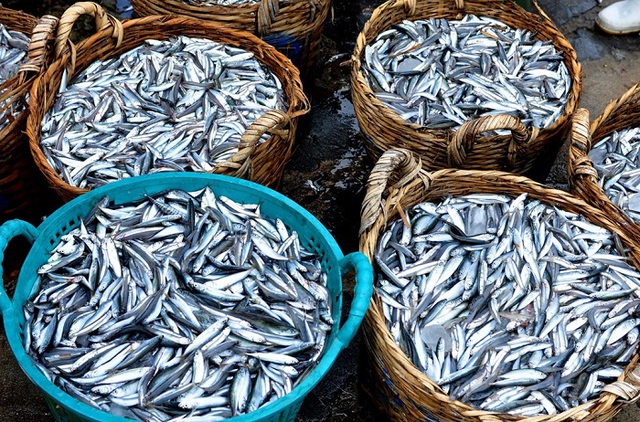 Nước mắm Phú Quốc đắt hàng tại Thái Lan