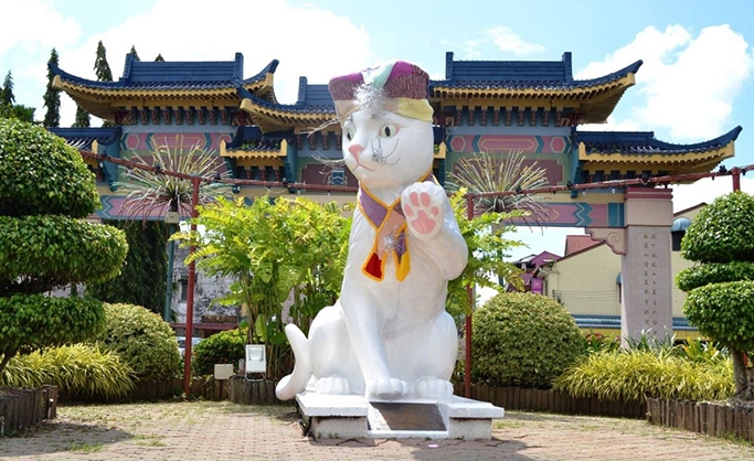 Độc đáo thành phố Mèo
