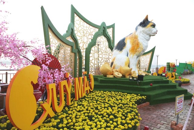 Đà Nẵng: Đường hoa xuân rực rỡ đón Tết Quý Mão Đà Nẵng: Đường hoa xuân rực rỡ đón Tết Quý Mão