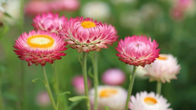 tu vi thu ba ngay 1222019 cua 12 cung hoang dao