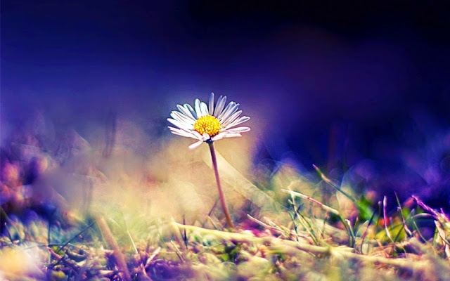 tu vi thu ba ngay 1222019 cua 12 cung hoang dao