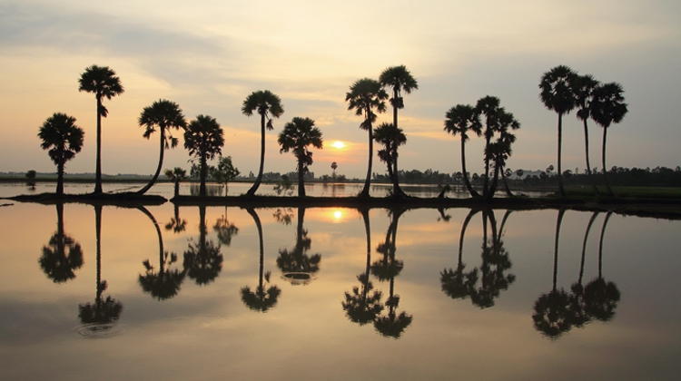 Tử vi thứ Tư ngày 13/2/2019 của 12 cung hoàng đạo tu vi thu tu ngay 1322019 cua 12 cung hoang dao