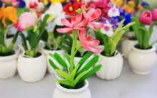 tu vi thu hai ngay 2522019 cua 12 cung hoang dao