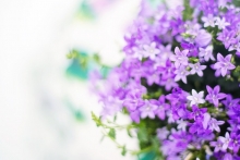 tu vi thu bay ngay 232019 cua 12 cung hoang dao