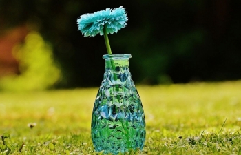 Dự báo tuần mới 15/6 - 21/6 của 12 cung hoàng đạo