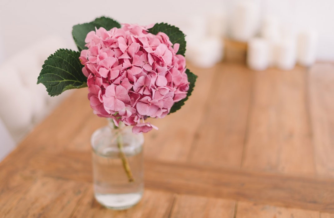 Tử vi tháng 4/2021 của 12 con giáp: Tuổi Sửu vượng vận quý nhân Tử vi tháng 4/2021 của 12 con giáp: Tuổi Sửu vượng vận quý nhân