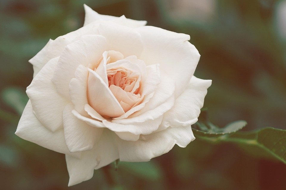 Tử vi ngày 27/4/2021 của 12 cung hoàng đạo: Thiên Bình hòa nhã Tử vi ngày 27/4/2021 của 12 cung hoàng đạo: Thiên Bình hòa nhã