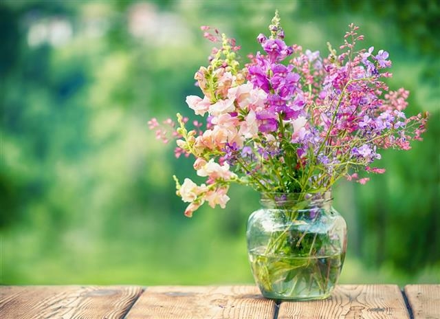 Tử vi ngày 12/2/2021: Xử Nữ đào hoa nở rộ, Song Ngư bốc đồng