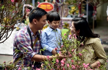 Chùm ảnh: Xuân đã đến, Tết đã gõ cửa mọi nhà