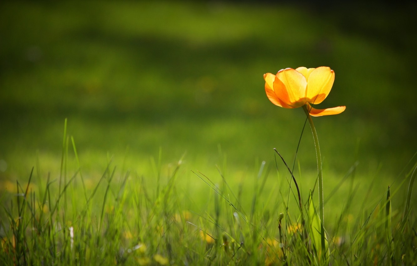 Tử vi ngày 24/7/2021 của 12 cung hoàng đạo: Cự Giải nhạy cảm Tử vi ngày 24/7/2021 của 12 cung hoàng đạo: Cự Giải nhạy cảm