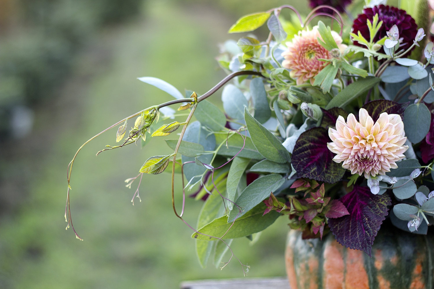 Tử vi tháng 6/2021 của 12 cung hoàng đạo: Cự Giải nên tìm cách cân bằng