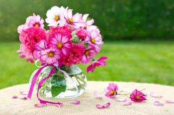 Tử vi ngày 15/2/2023 của 12 cung hoàng đạo: Kim Ngưu độc lập, Bảo Bình lý trí