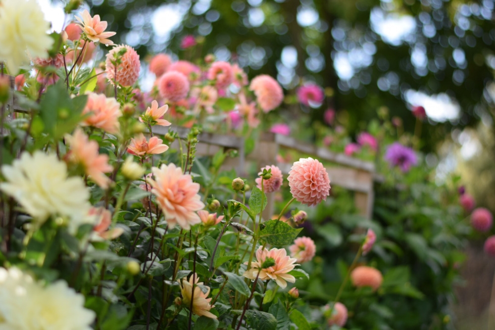 Tử vi ngày 17/9/2022 của 12 cung hoàng đạo: Kim Ngưu nhiệt tình, Ma Kết cảm xúc chi phối Tử vi ngày 17/9/2022 của 12 cung hoàng đạo: Kim Ngưu nhiệt tình, Ma Kết cảm xúc chi phối