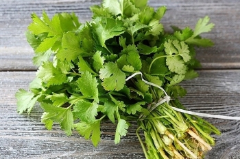 Những lợi ích của rau mùi trong bảo vệ sức khỏe và ngăn ngừa ung thư
