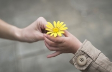 tu vi chu nhat ngay 332019 cua 12 cung hoang dao