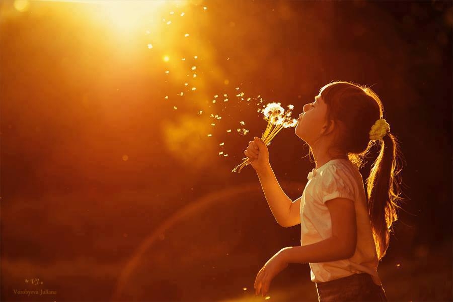 Tử vi Chủ nhật ngày 3/3/2019 của 12 cung hoàng đạo tu vi chu nhat ngay 332019 cua 12 cung hoang dao