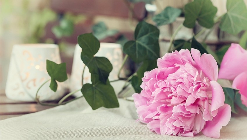 Tử vi thứ Hai ngày 4/3/2019 của 12 cung hoàng đạo tu vi thu hai ngay 432019 cua 12 cung hoang dao