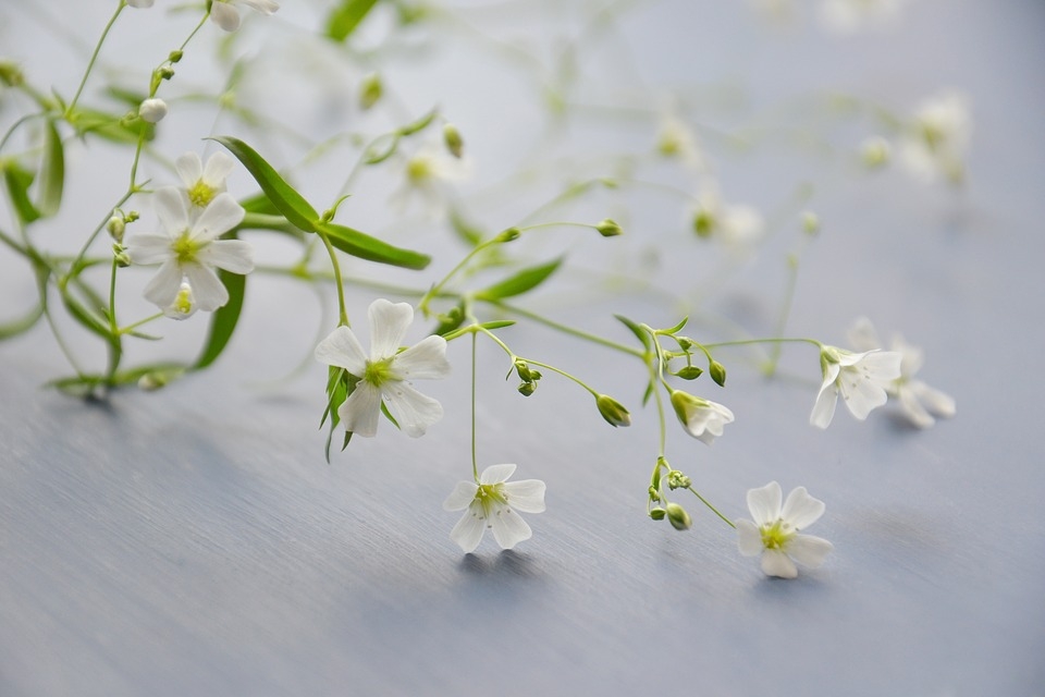 Tử vi thứ Tư ngày 6/3/2019 của 12 cung hoàng đạo tu vi thu tu ngay 632019 cua 12 cung hoang dao