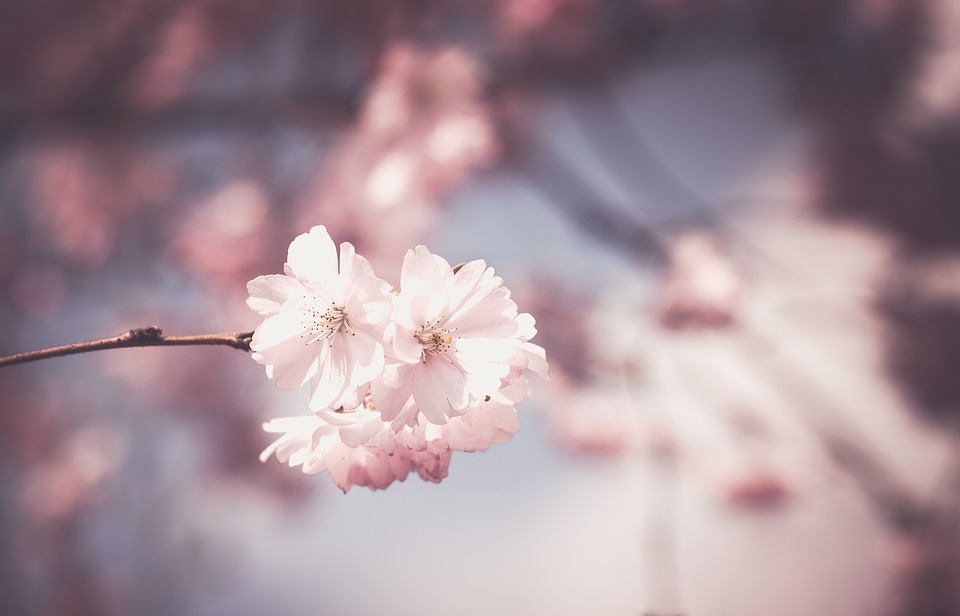 Tử vi thứ Năm ngày 7/3/2019 của 12 cung hoàng đạo tu vi thu nam ngay 732019 cua 12 cung hoang dao