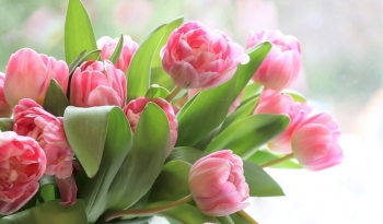Tử vi ngày 21/4/2021 của 12 cung hoàng đạo: Bảo Bình sáng tạo