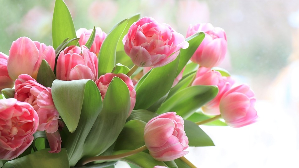 Tử vi ngày 21/4/2021 của 12 cung hoàng đạo: Bảo Bình sáng tạo